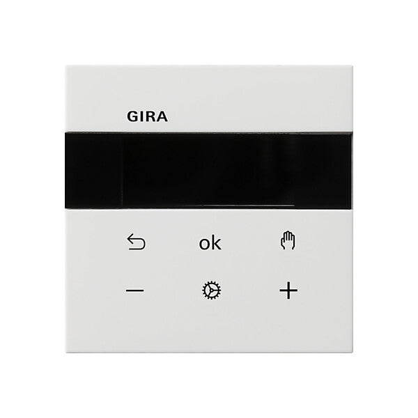 Gira RTR Display rws 5393112